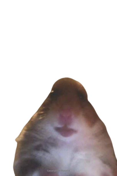 Hamster logo